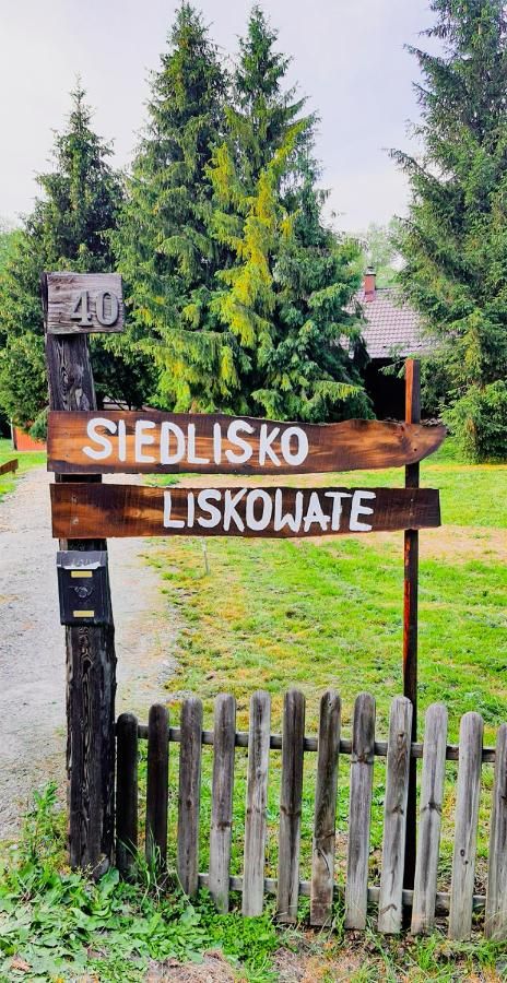 Drewniany szyld Siedlisko Liskowate z numerem 40 przy wjeździe, za nim świerki