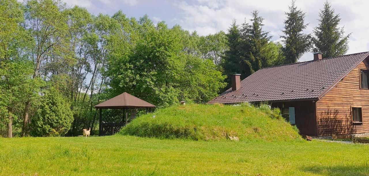 Ogród za domem: altana, porośnięty trawą kopiec i dach domu wśród świerków