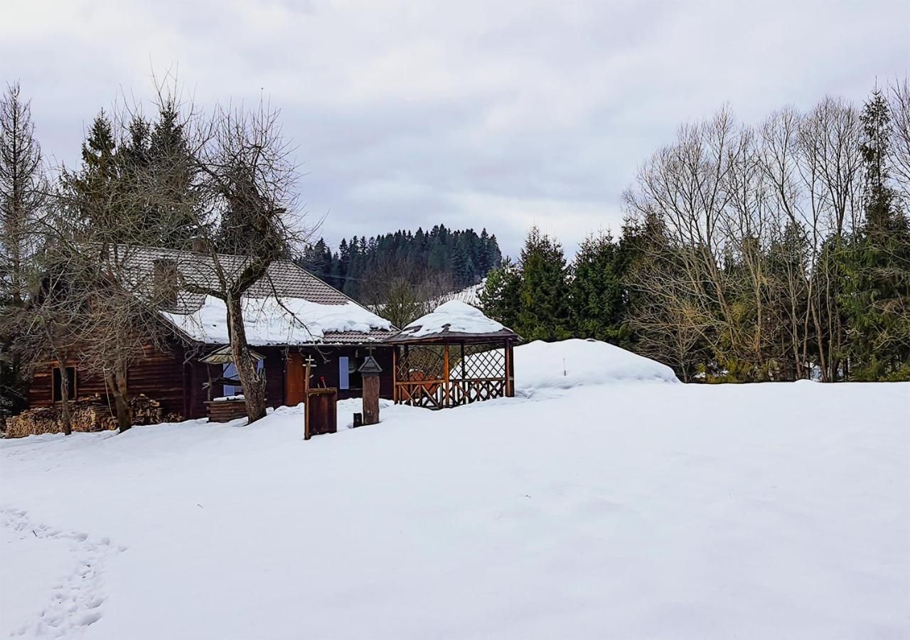 Dom i altana pod śniegiem, wokół zaśnieżona łąka i drzewa